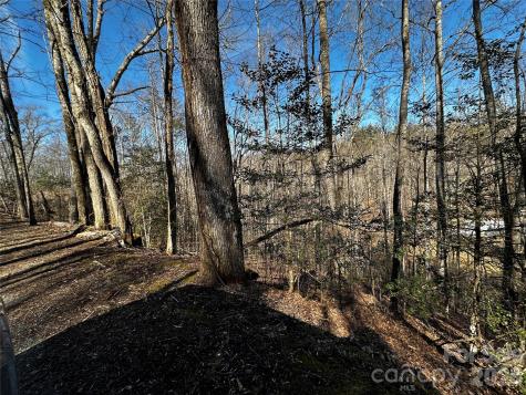 Lot 11 Blue Mist Mountain Road Whittier NC 28789