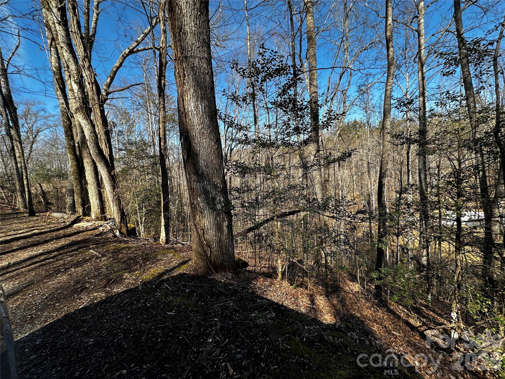 Lot 11 Blue Mist Mountain Road Whittier NC 28789
