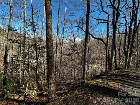 Lot 11 Blue Mist Mountain Road Whittier NC 28789