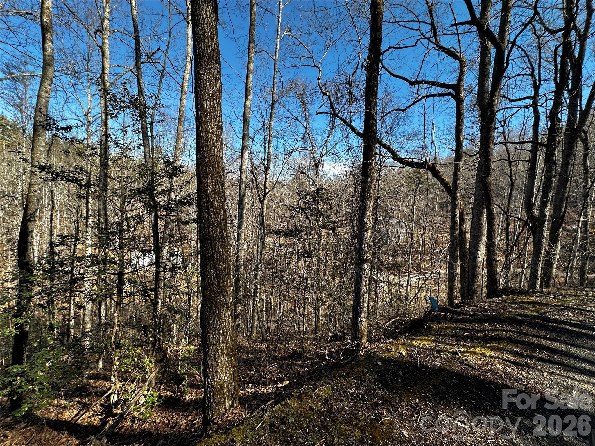 Lot 11 Blue Mist Mountain Road Whittier NC 28789