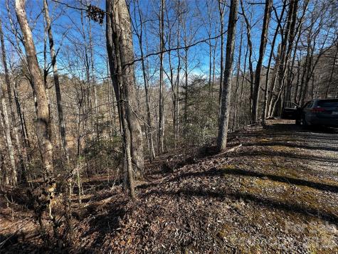 Lot 11 Blue Mist Mountain Road Whittier NC 28789
