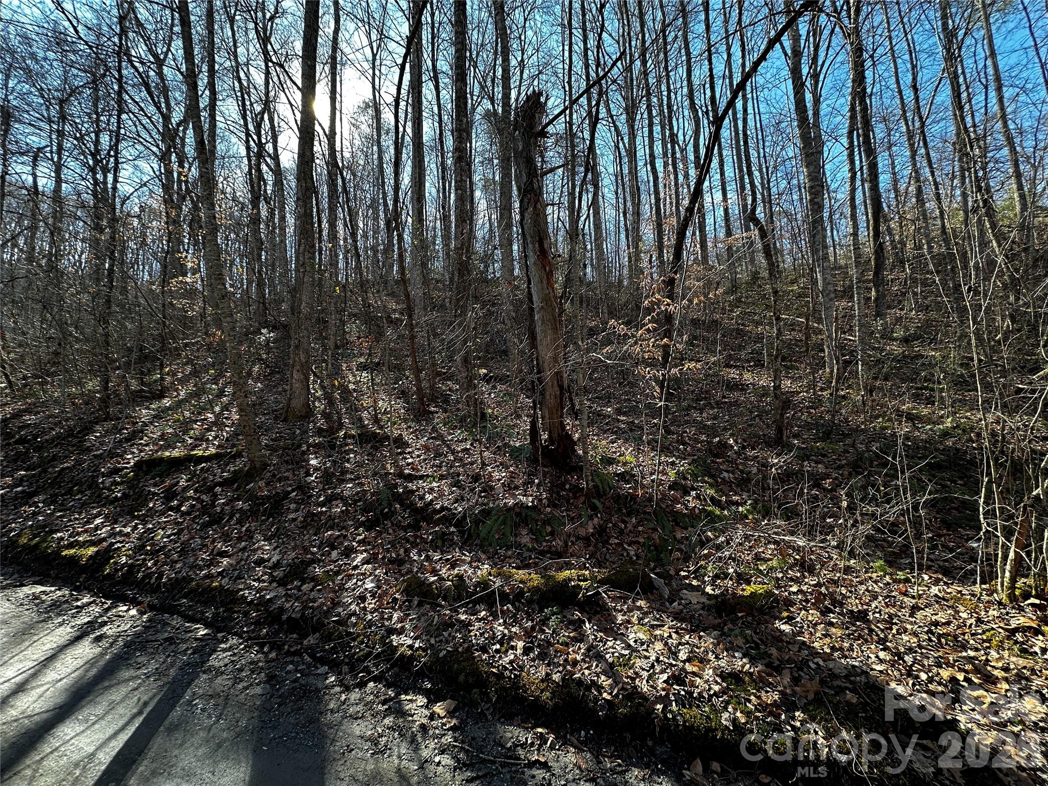 Lot 11 Blue Mist Mountain Road Whittier NC 28789