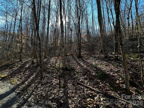 Lot 11 Blue Mist Mountain Road Whittier NC 28789