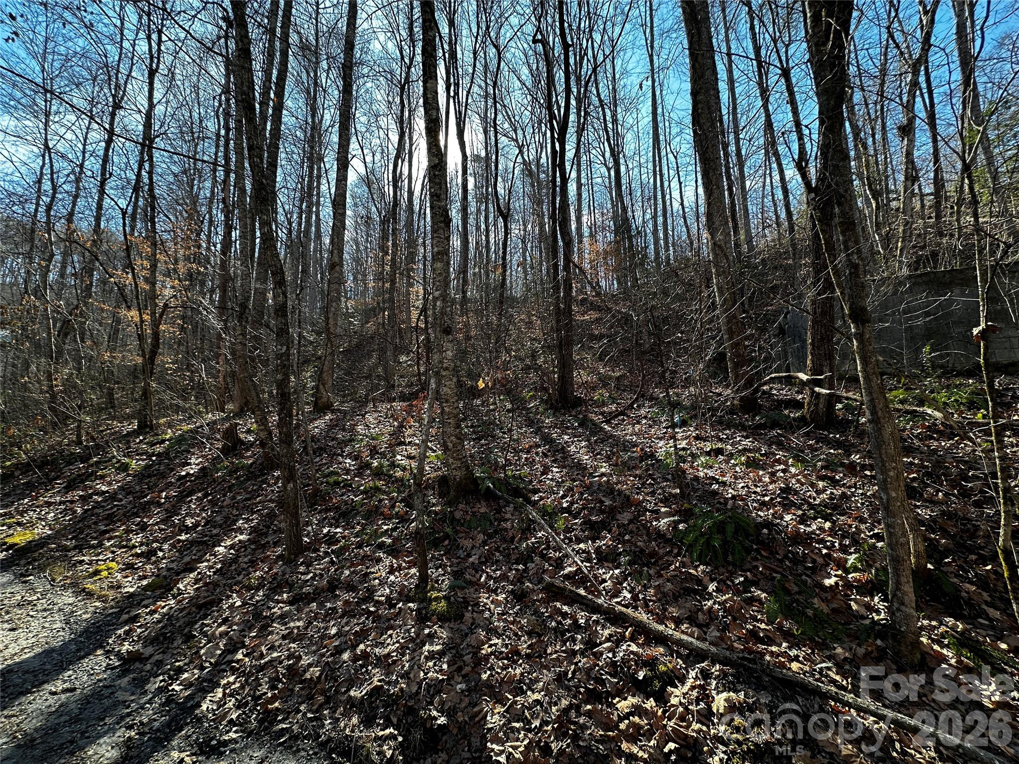Lot 11 Blue Mist Mountain Road Whittier NC 28789