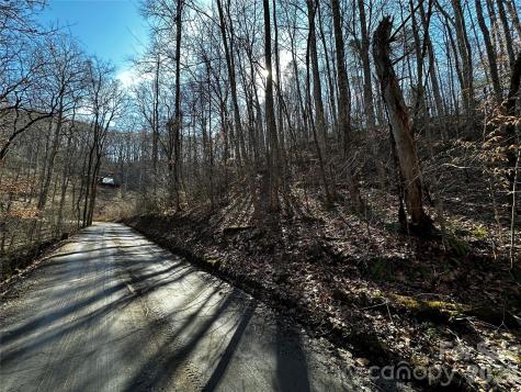 Lot 11 Blue Mist Mountain Road Whittier NC 28789