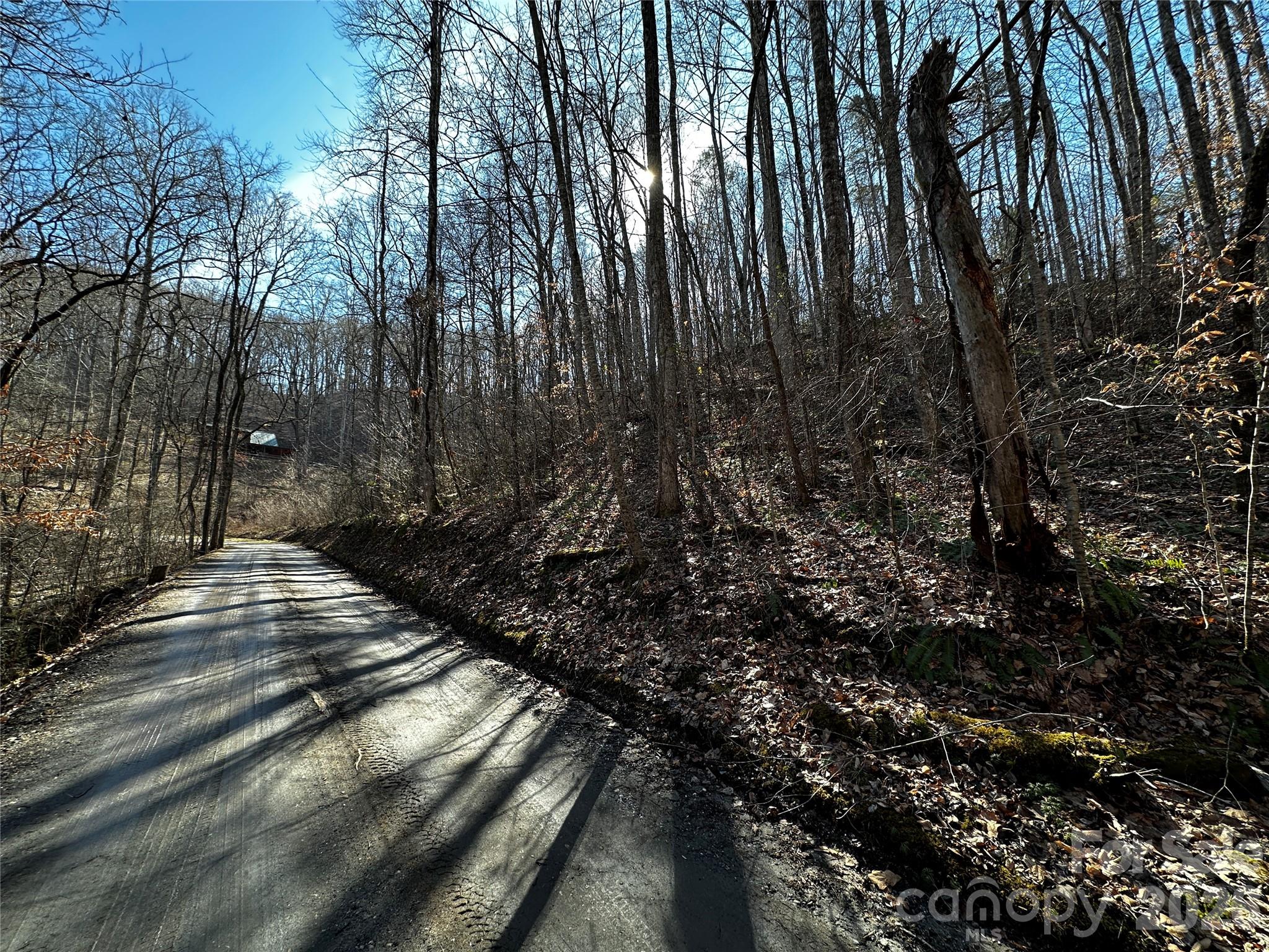 Lot 11 Blue Mist Mountain Road Whittier NC 28789