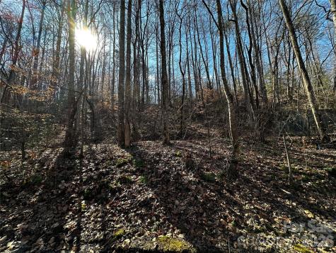 Lot 11 Blue Mist Mountain Road Whittier NC 28789