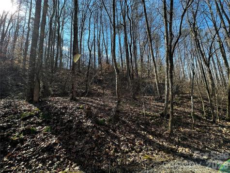 Lot 11 Blue Mist Mountain Road Whittier NC 28789