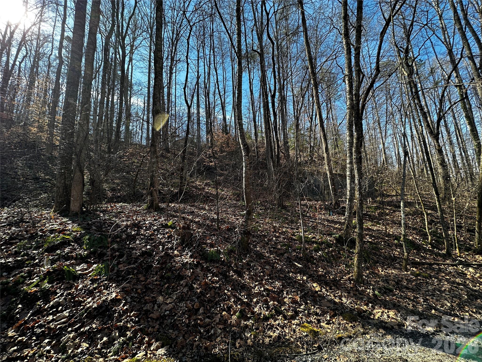 Lot 11 Blue Mist Mountain Road Whittier NC 28789