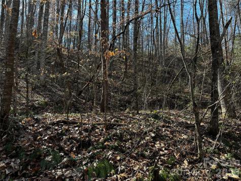 Lot 11 Blue Mist Mountain Road Whittier NC 28789