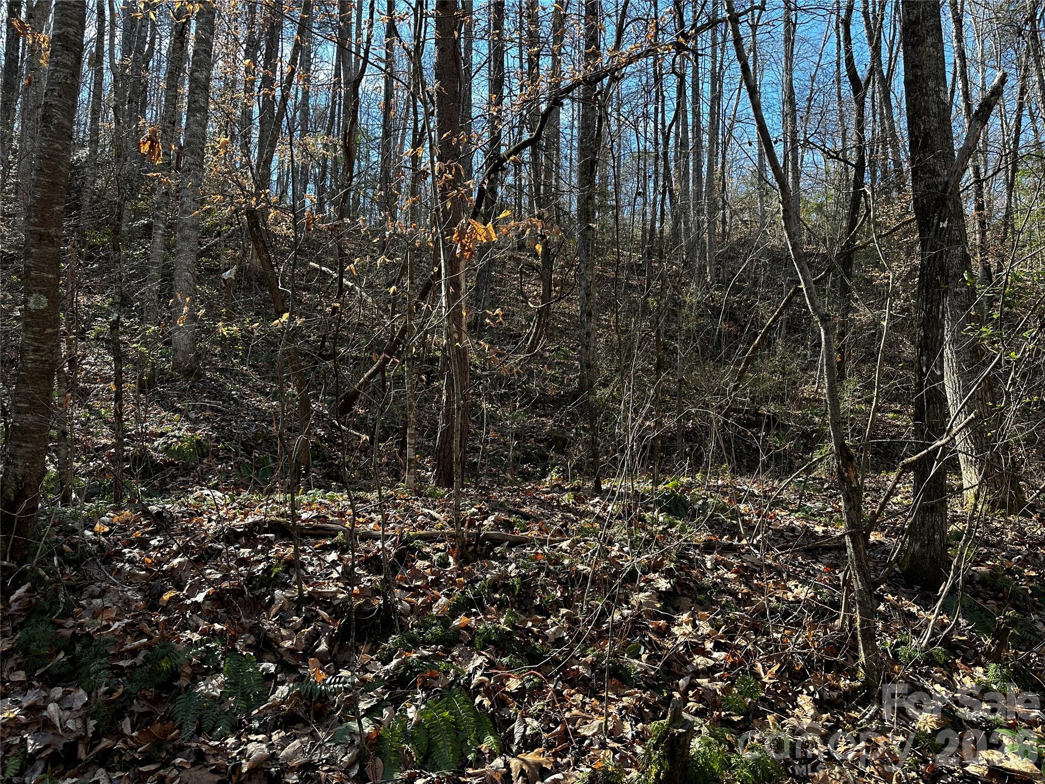 Lot 11 Blue Mist Mountain Road Whittier NC 28789