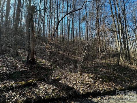 Lot 11 Blue Mist Mountain Road Whittier NC 28789