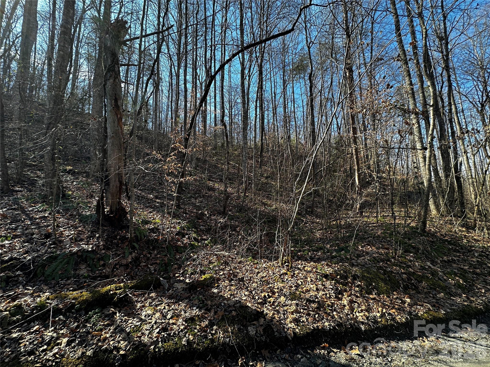 Lot 11 Blue Mist Mountain Road Whittier NC 28789