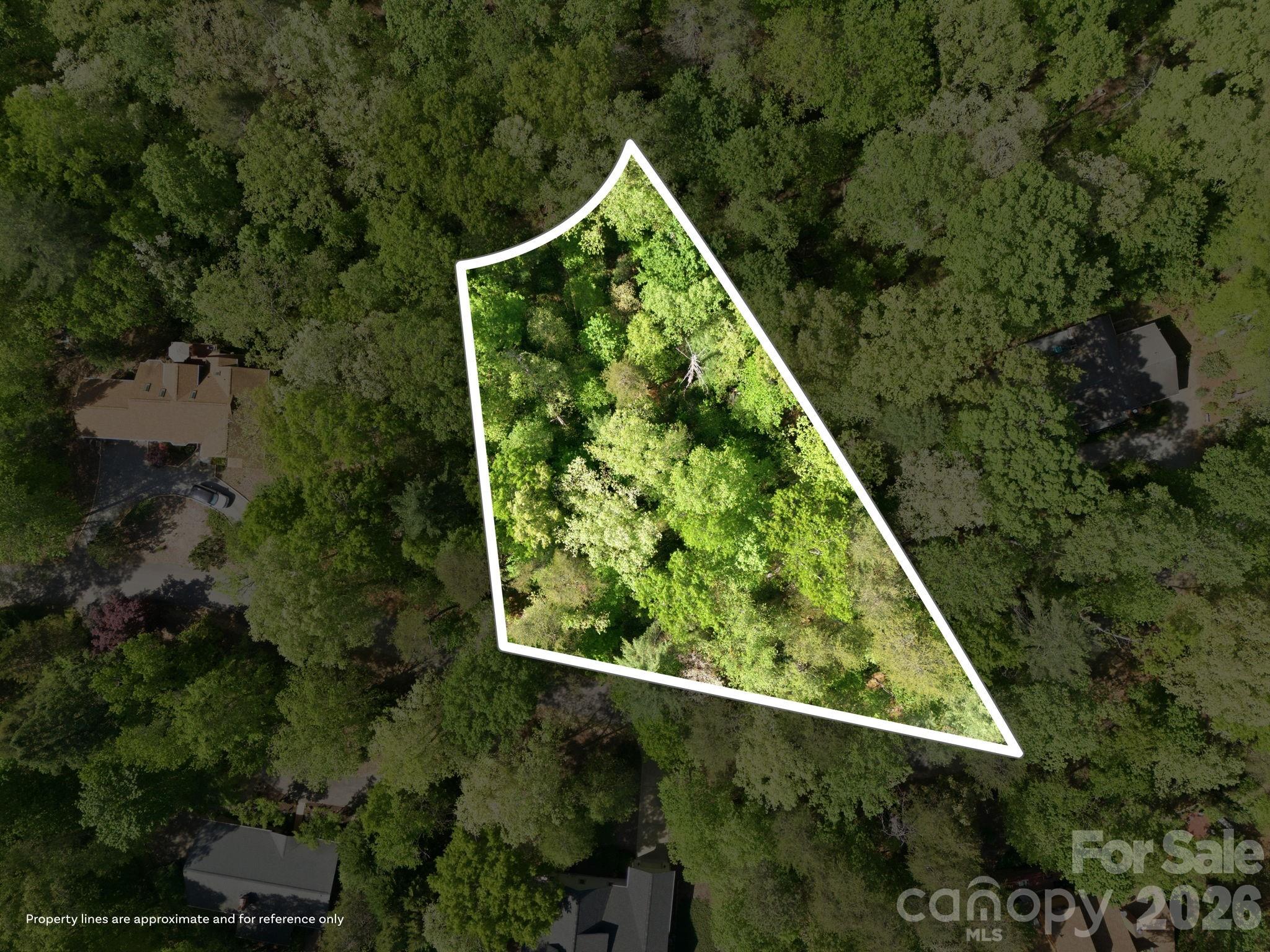 Lot 50 Huntington Road Lake Lure NC 28746