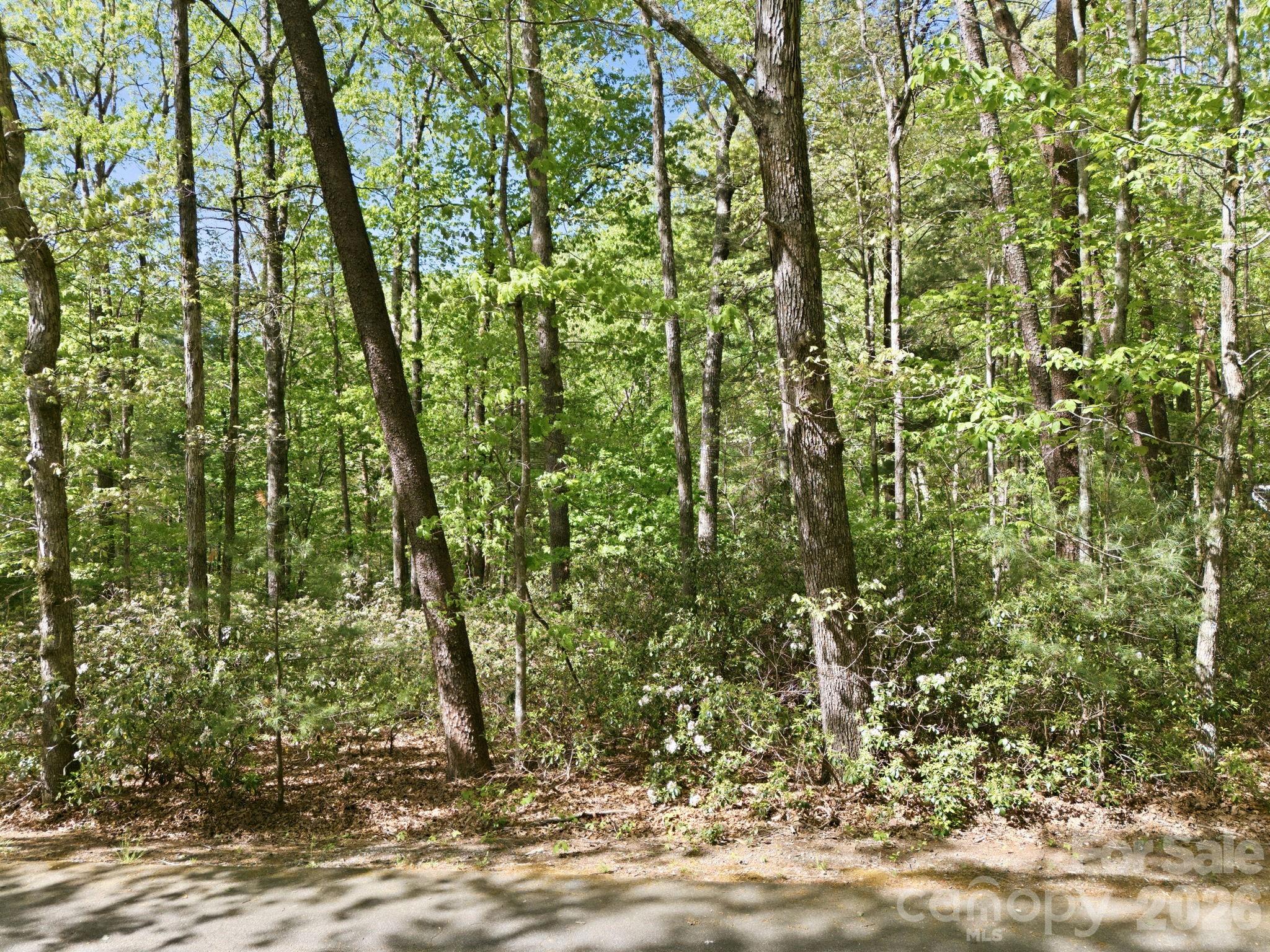 Lot 50 Huntington Road Lake Lure NC 28746