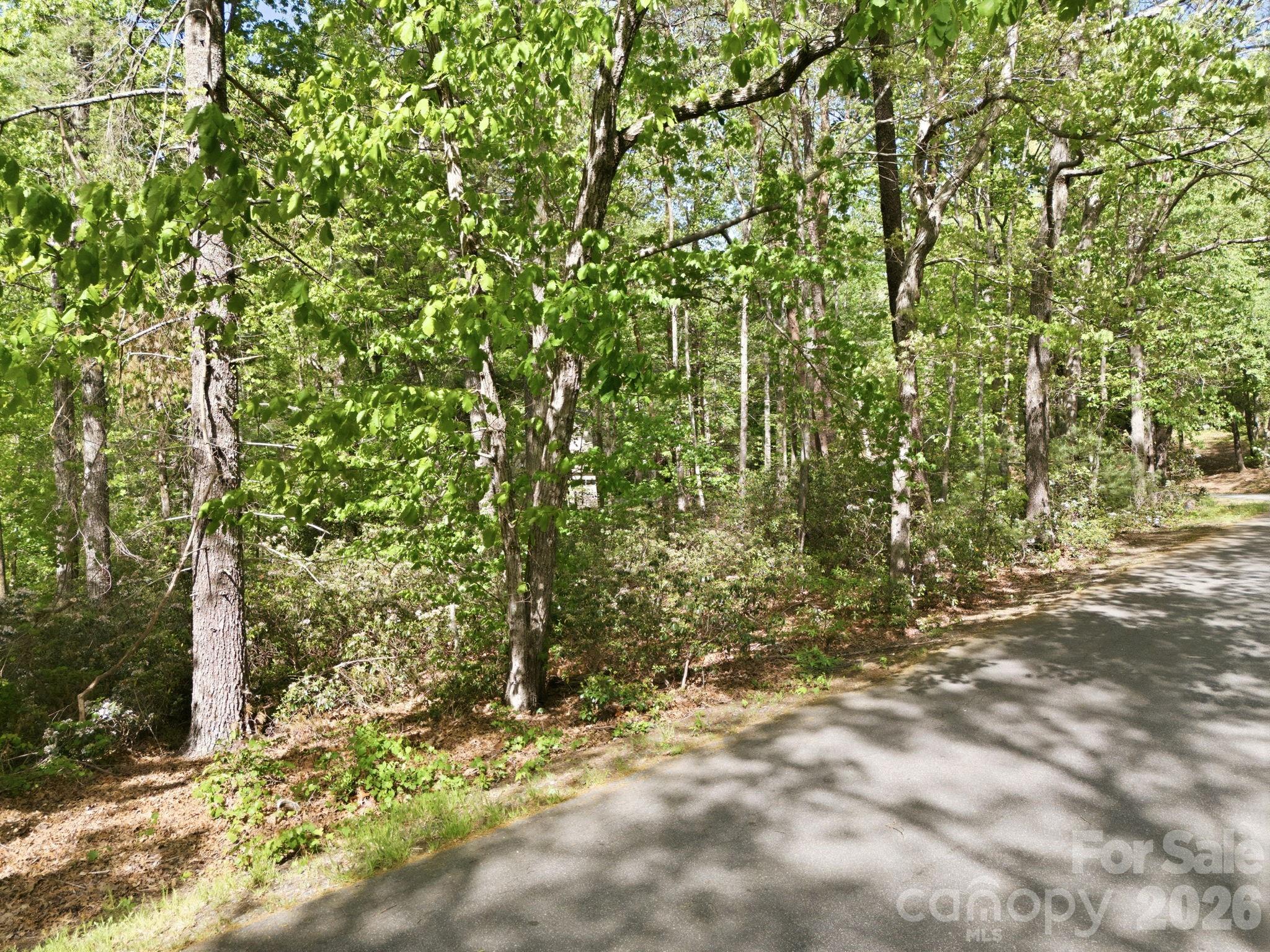 Lot 50 Huntington Road Lake Lure NC 28746