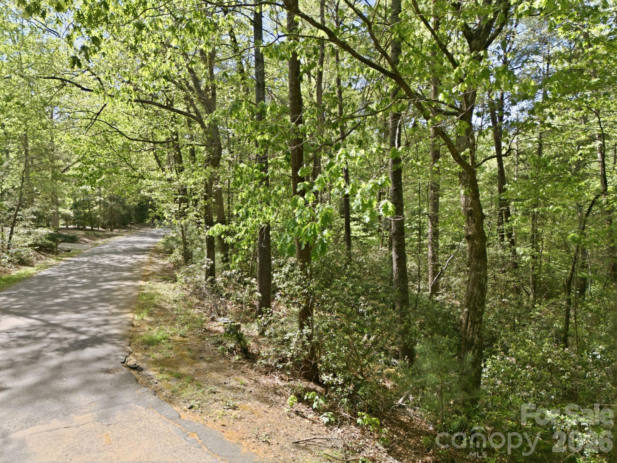 Lot 50 Huntington Road Lake Lure NC 28746