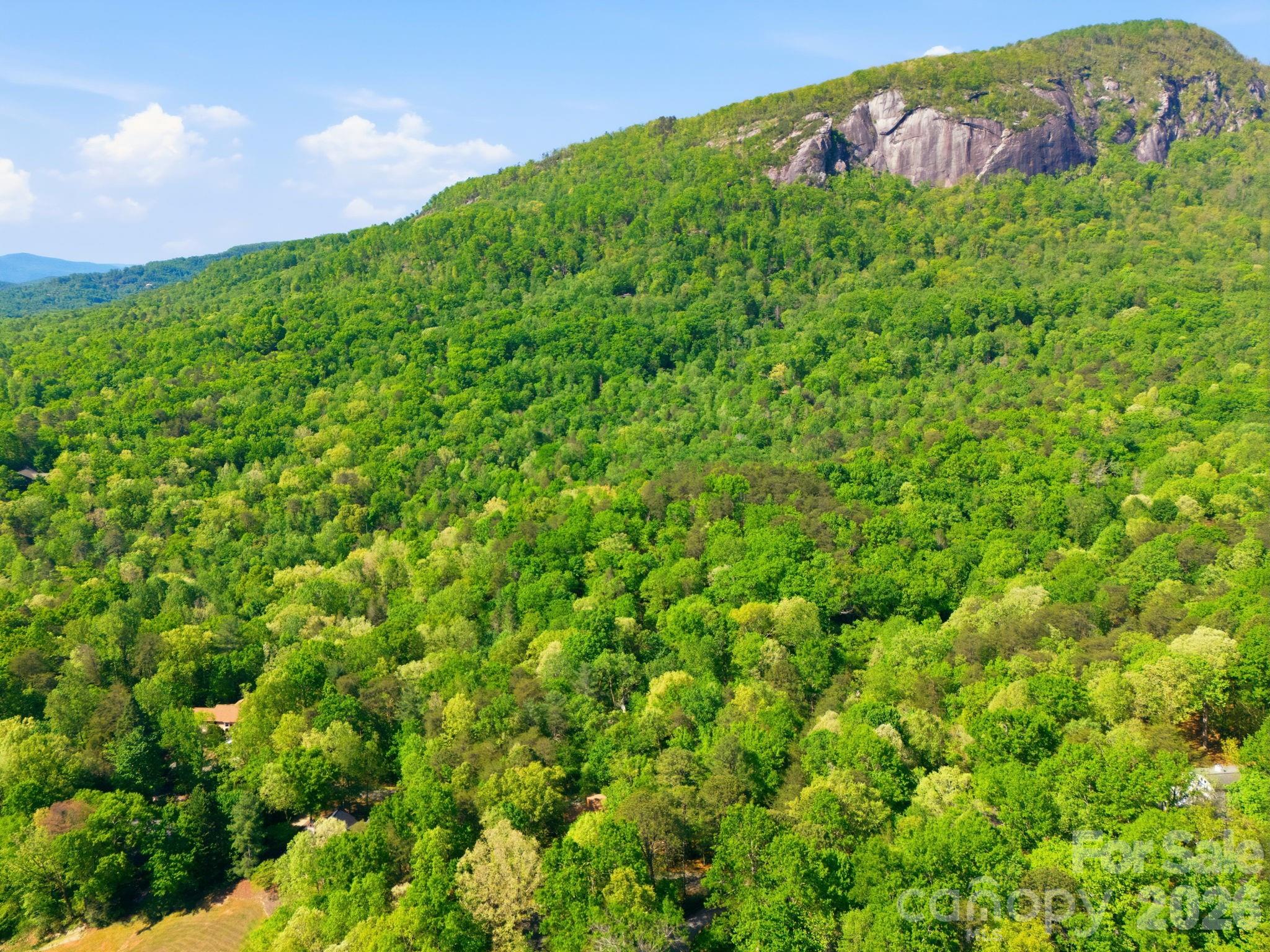 Lot 50 Huntington Road Lake Lure NC 28746