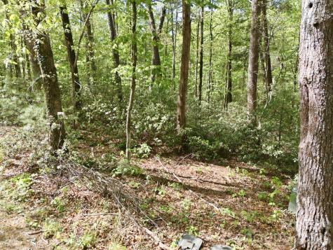 Lot 50 Huntington Road Lake Lure NC 28746