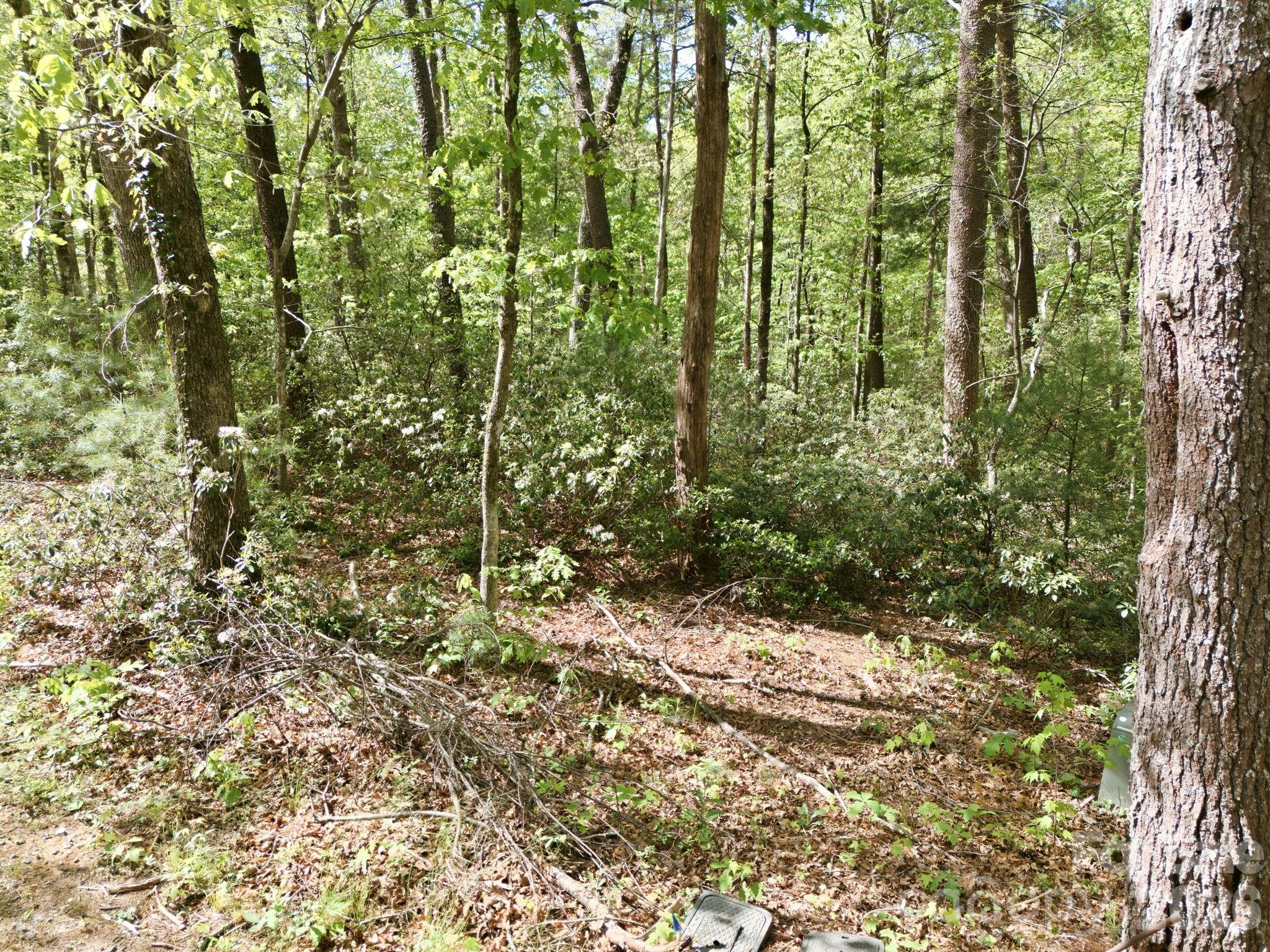 Lot 50 Huntington Road Lake Lure NC 28746
