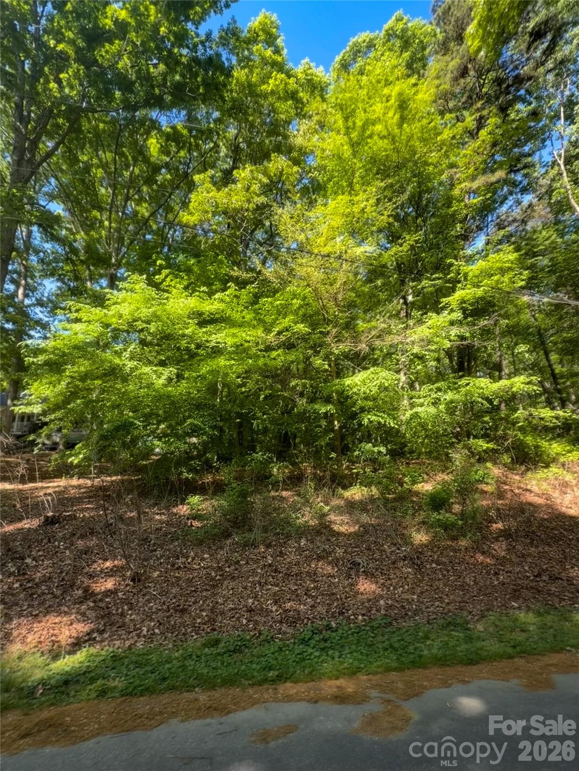 8793 Peninsula Drive Terrell NC 28682