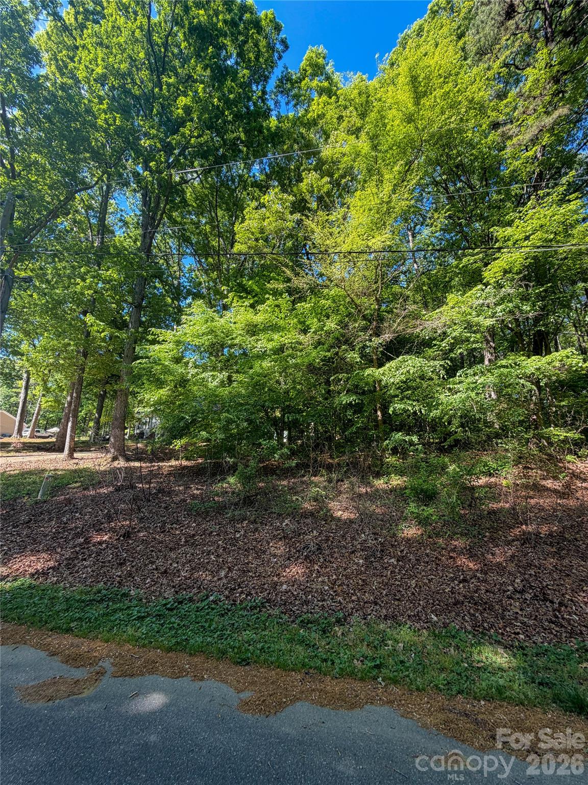 8793 Peninsula Drive Terrell NC 28682