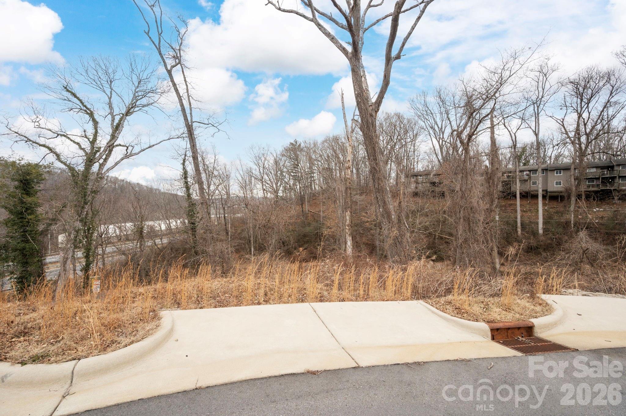 124 Beautyberry Drive Asheville NC 28801