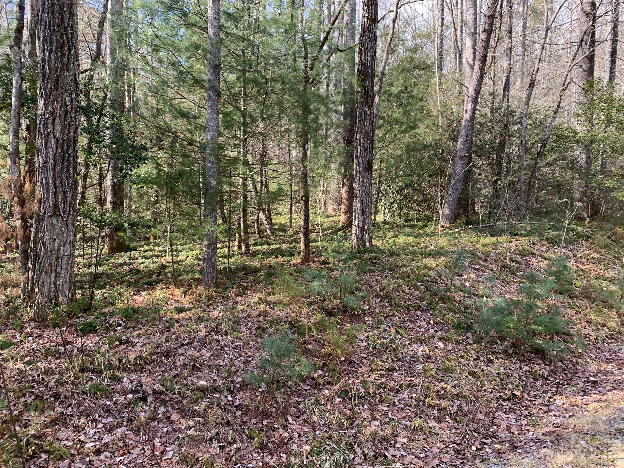 126 Green Hollow Lane Brevard NC 28712