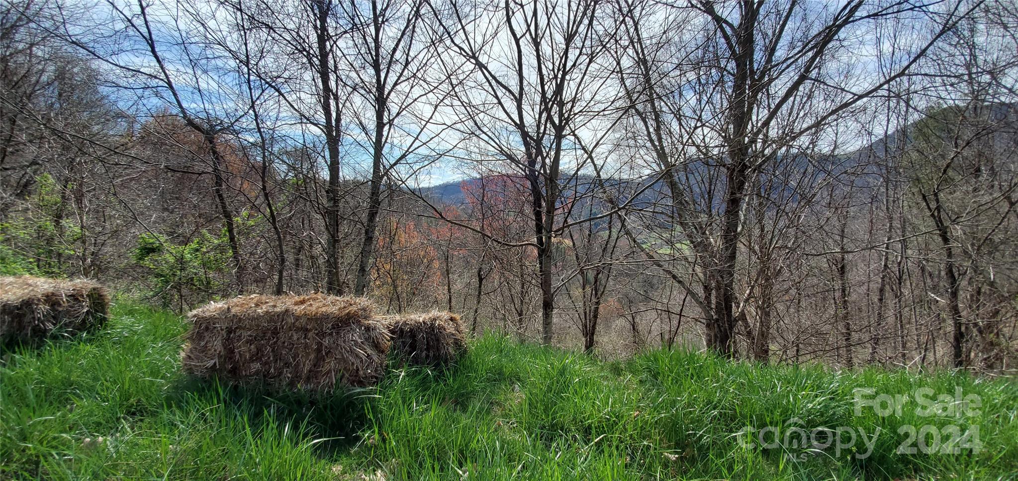 9999 Sunset Falls Drive Clyde NC 28716