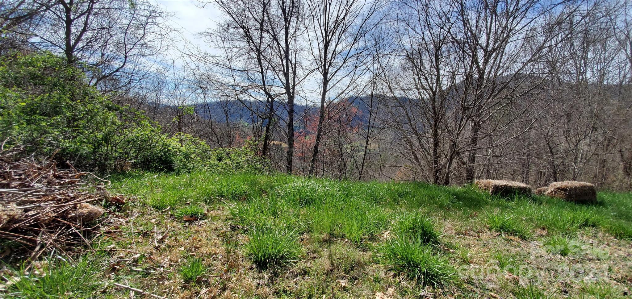 9999 Sunset Falls Drive Clyde NC 28716