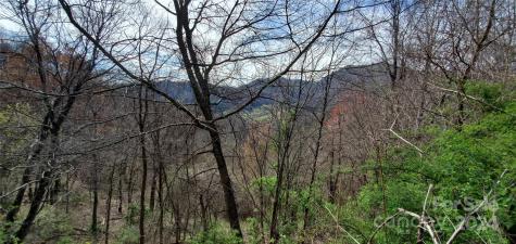 9999 Sunset Falls Drive Clyde NC 28716