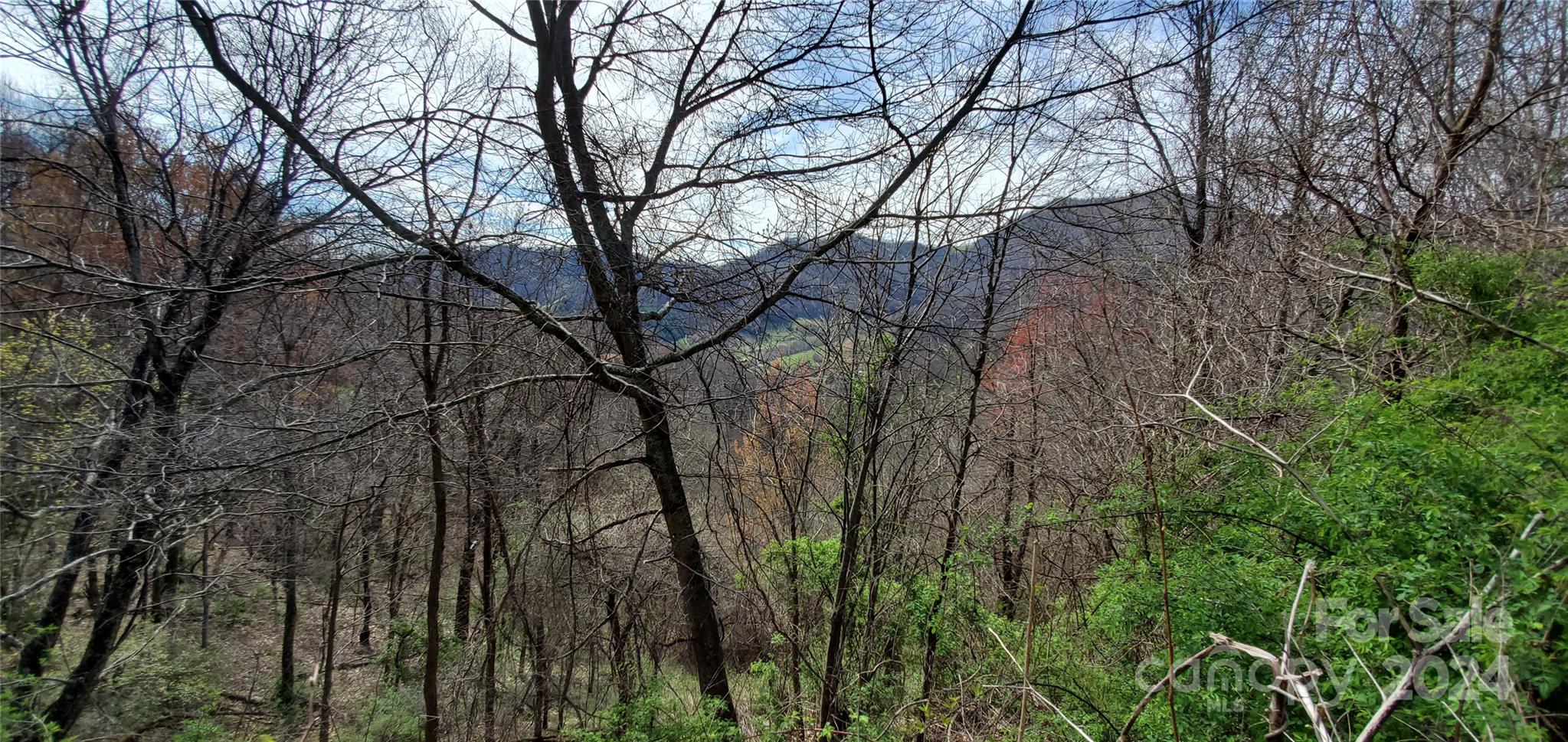 9999 Sunset Falls Drive Clyde NC 28716