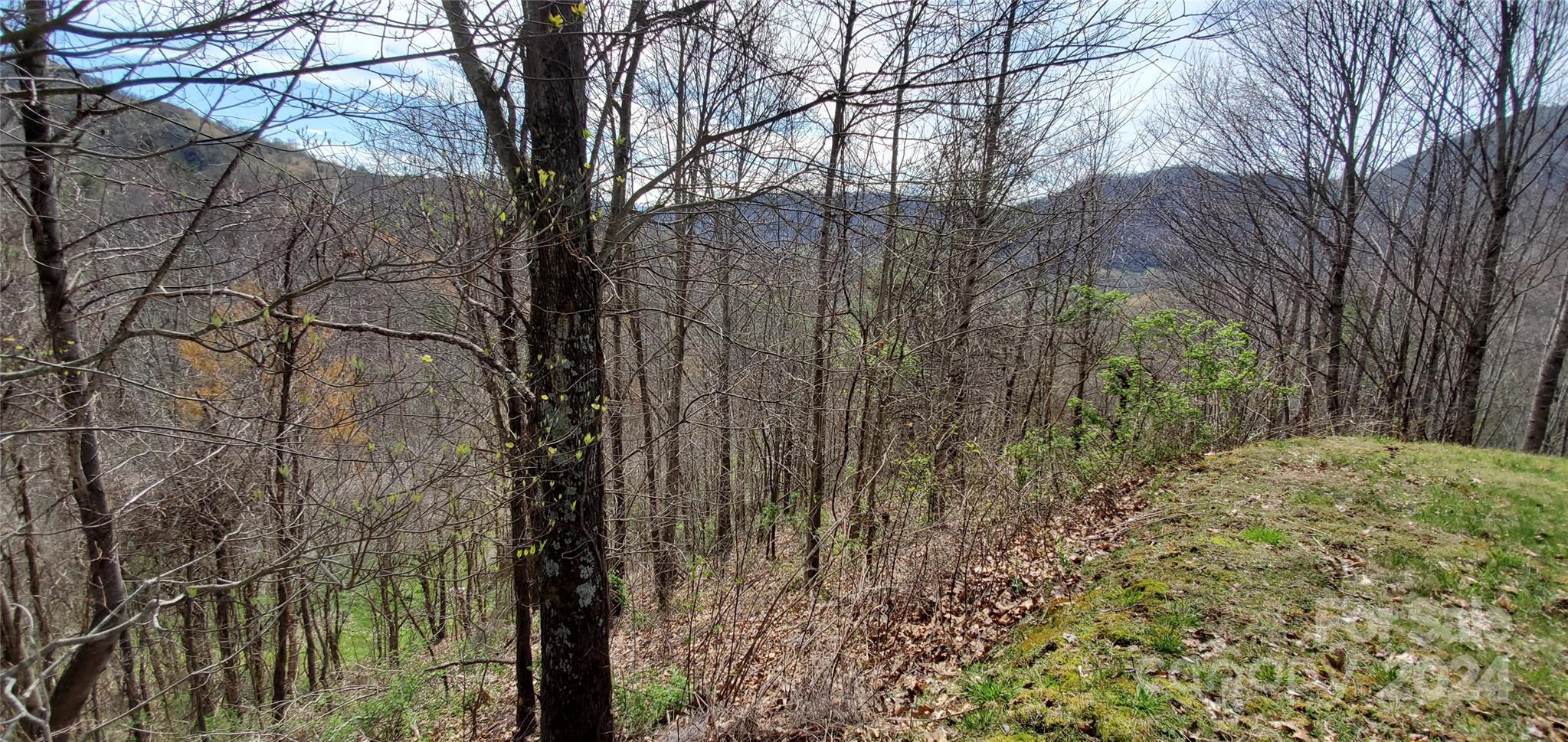 9999 Sunset Falls Drive Clyde NC 28716