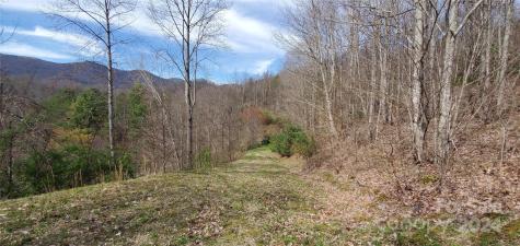 9999 Sunset Falls Drive Clyde NC 28716