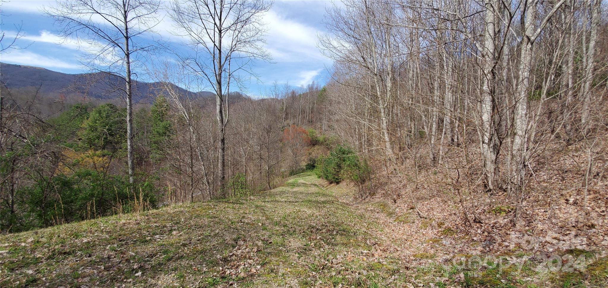 9999 Sunset Falls Drive Clyde NC 28716