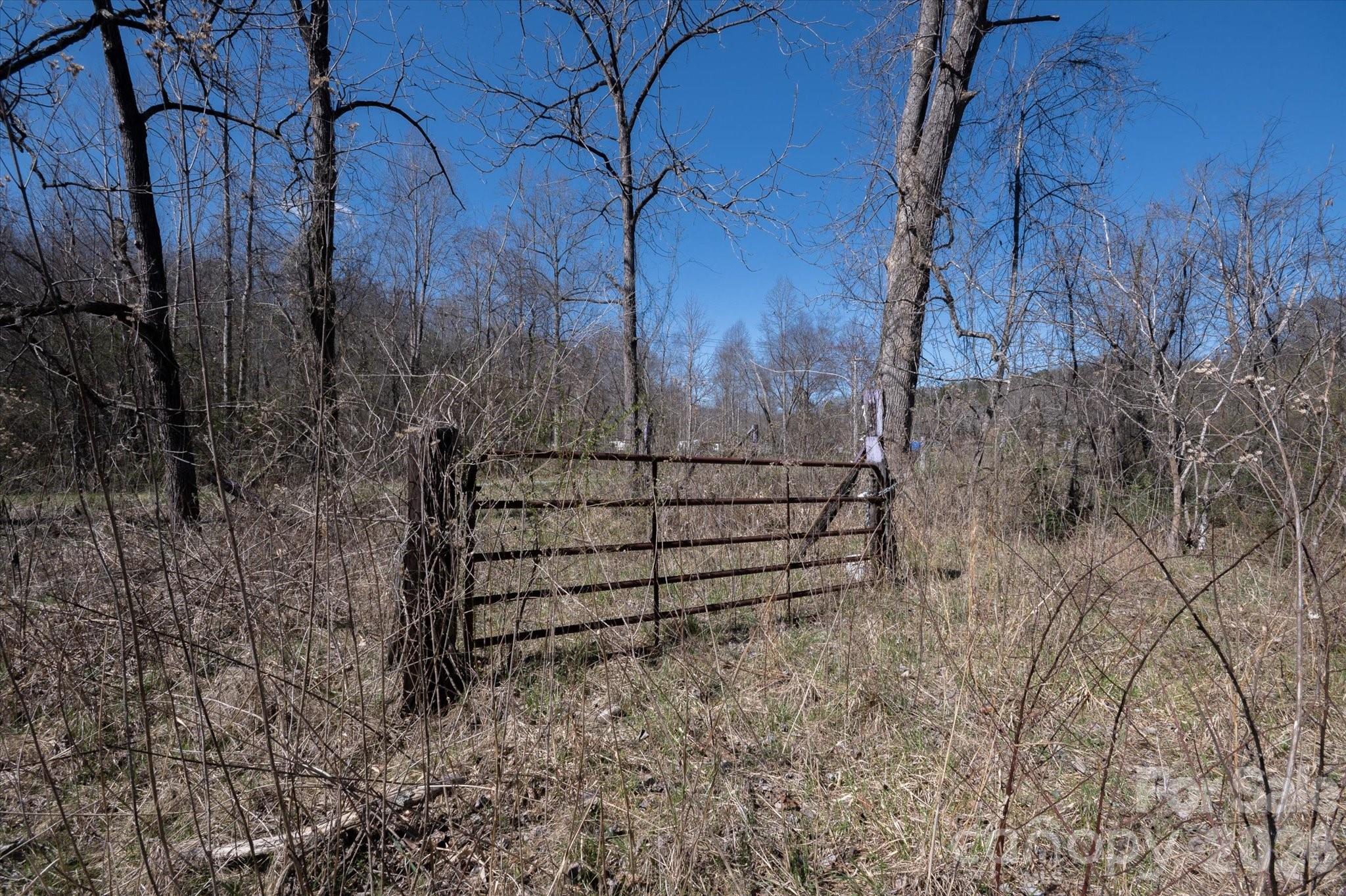 1739 Polly Spout Road Marion NC 28752