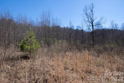 1739 Polly Spout Road Marion NC 28752
