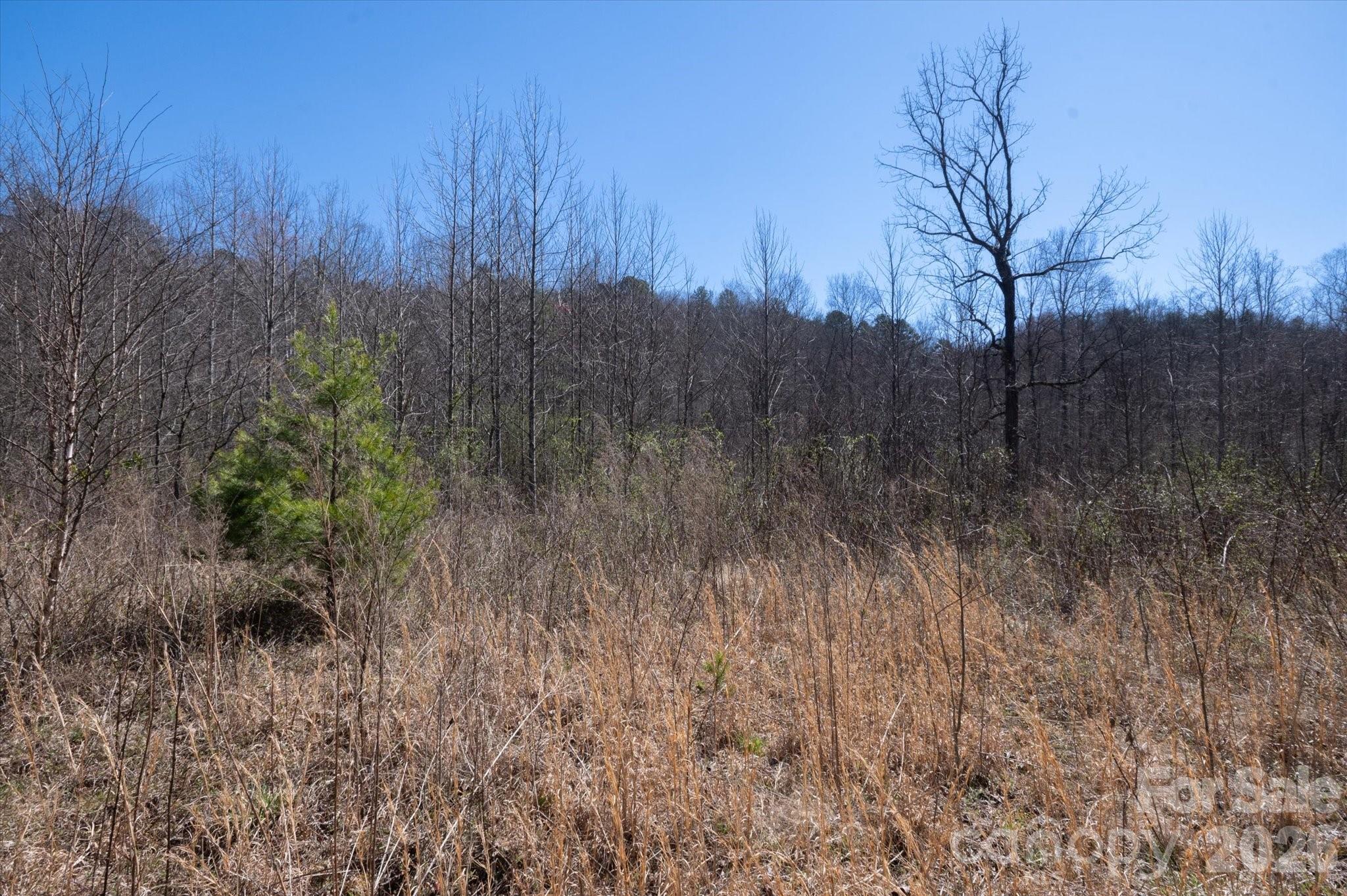 1739 Polly Spout Road Marion NC 28752