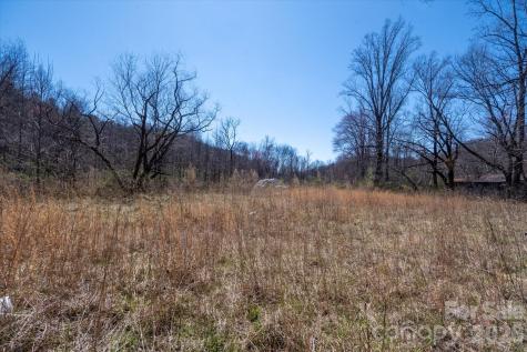 1739 Polly Spout Road Marion NC 28752