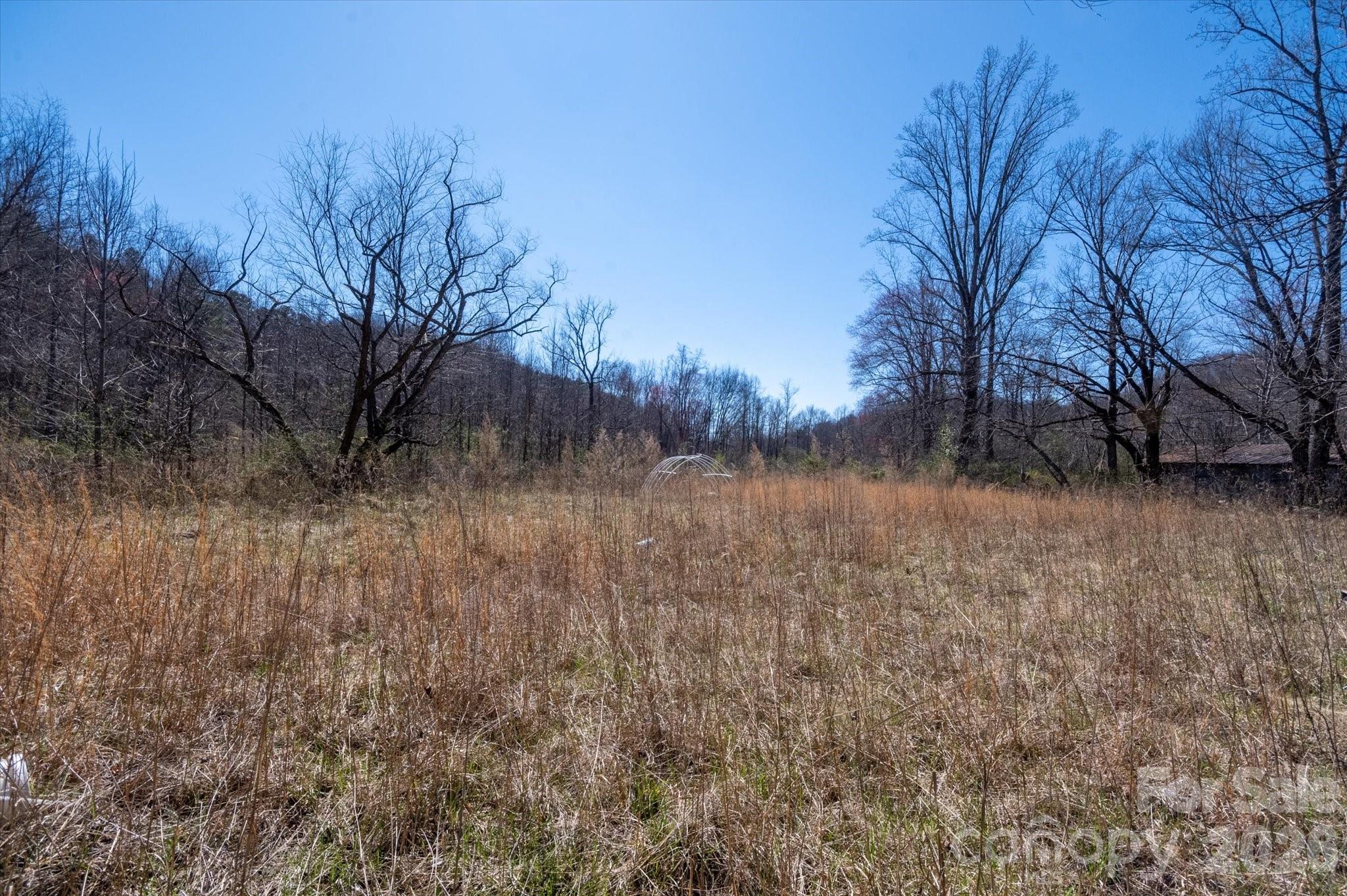 1739 Polly Spout Road Marion NC 28752