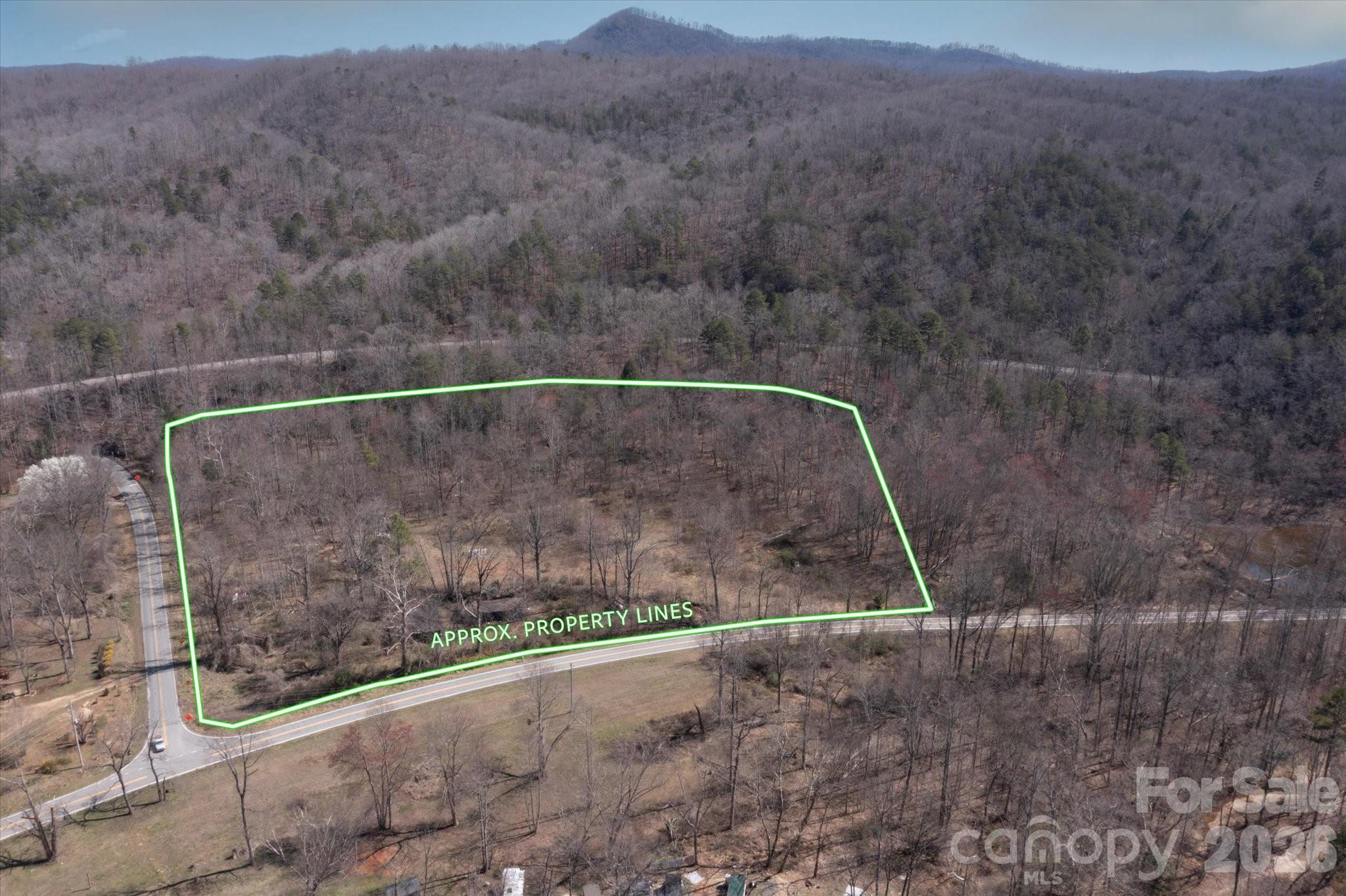1739 Polly Spout Road Marion NC 28752