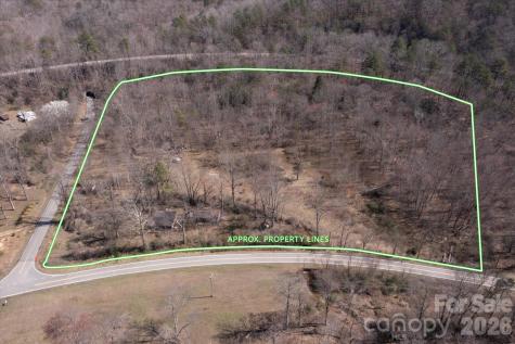 1739 Polly Spout Road Marion NC 28752