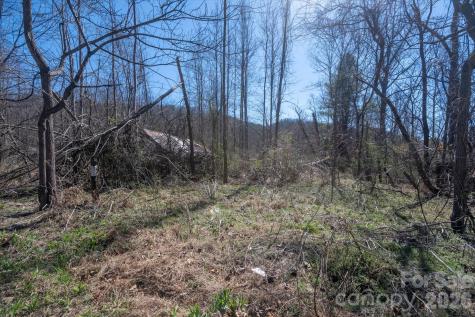 1739 Polly Spout Road Marion NC 28752