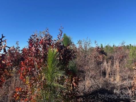 3583 Mill Creek Road Kershaw SC 29009