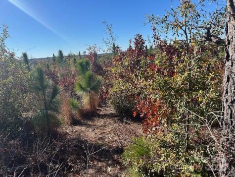 3583 Mill Creek Road Kershaw SC 29009