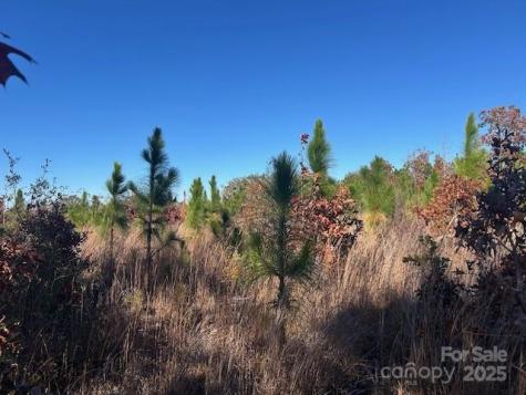 3583 Mill Creek Road Kershaw SC 29009
