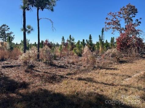 3583 Mill Creek Road Kershaw SC 29009