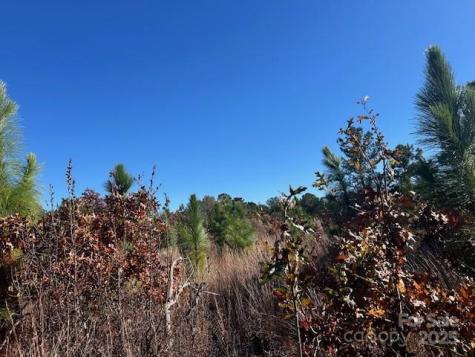 3583 Mill Creek Road Kershaw SC 29009
