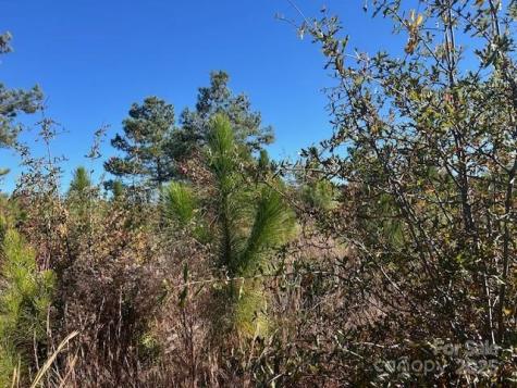 3583 Mill Creek Road Kershaw SC 29009