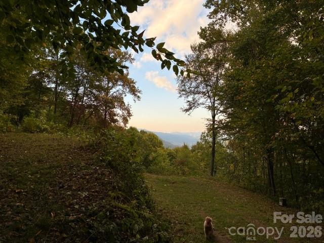 105 Dotsu Trail Maggie Valley NC 28751